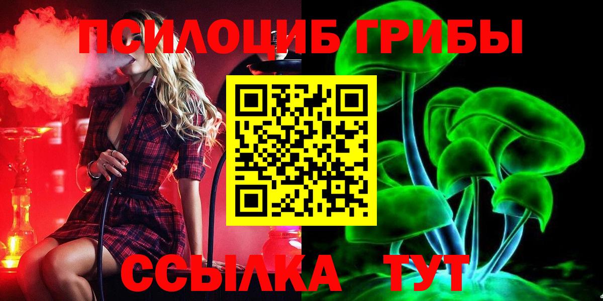 Тамбов  Псилоцибиновые грибы Psilocybine cubensis  Галлюциногенные грибы Psilocybine cubensis  Вход с VPN 